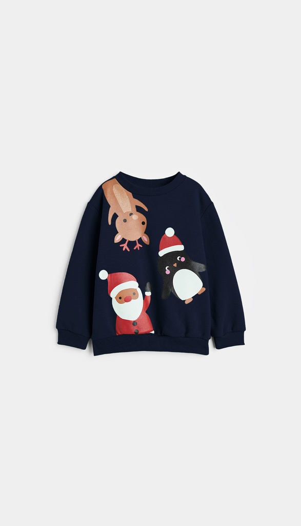 12661 Sudadera de Niño (16K1)