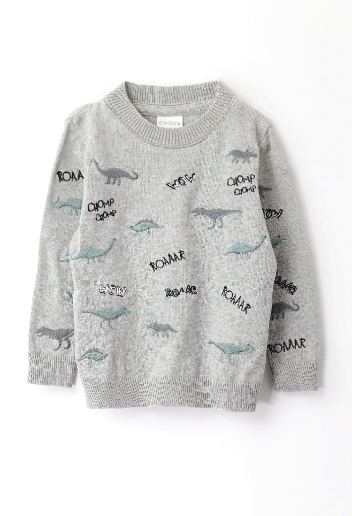 7546 Suéter Niño (15H3)