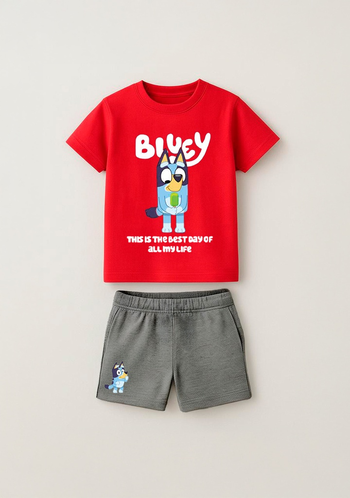 13560 Conjunto de Niño (Preventa Marzo 2026 C)