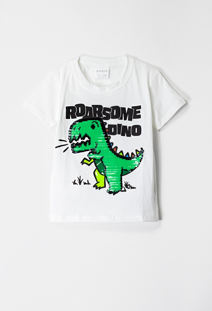 8605 Playera de niño (17A3)