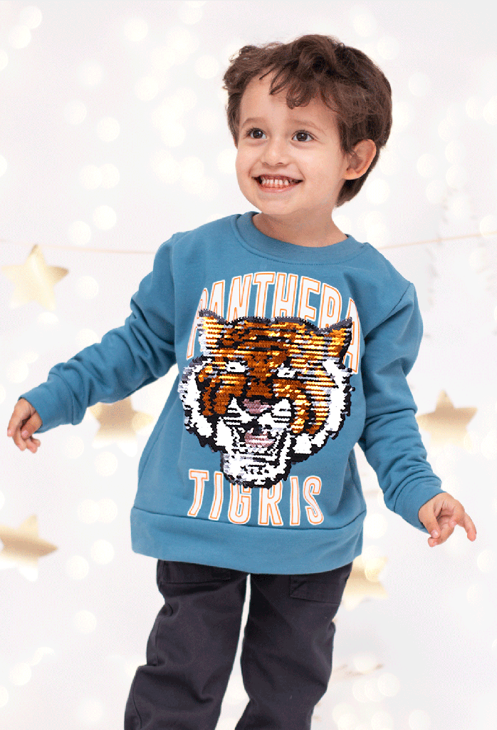 7901 Sudadera niño (15D3)