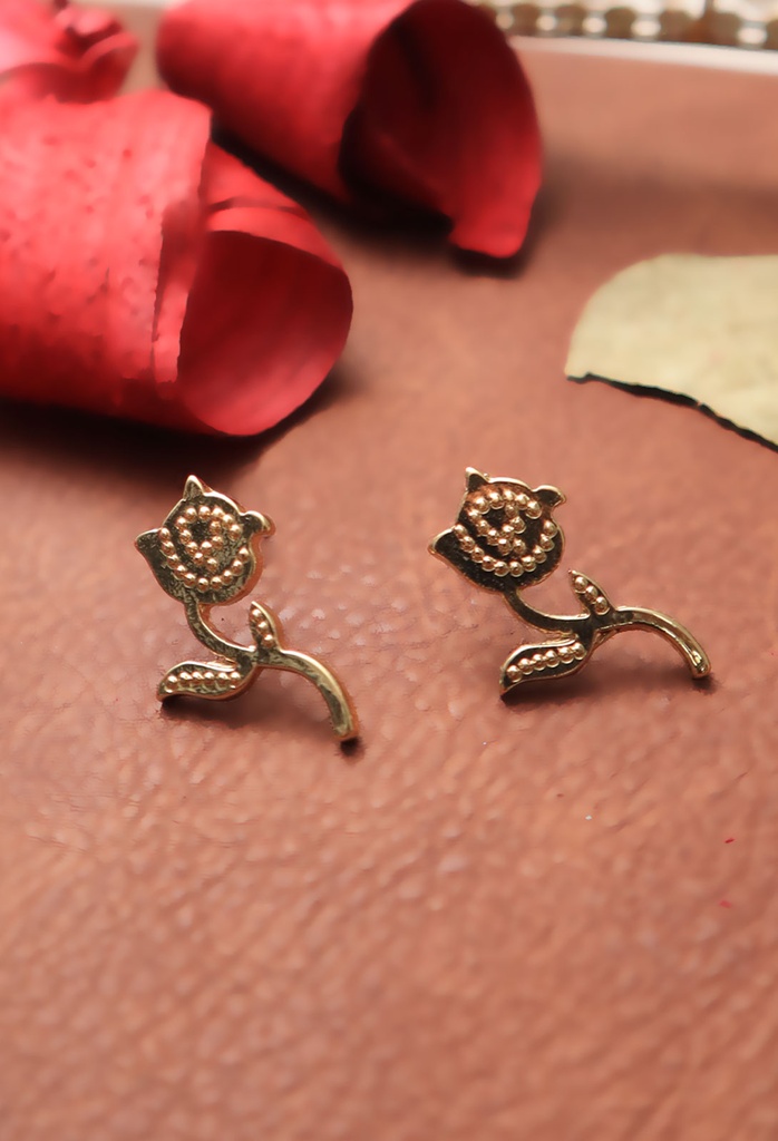 9107 Aretes Dorados Bella (21 Tamara)