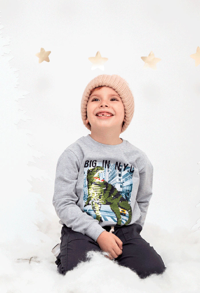 7867 Sudadera niño (16D2)