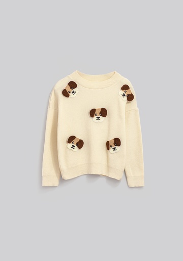 12787 Sudadera de Niño (17e2)