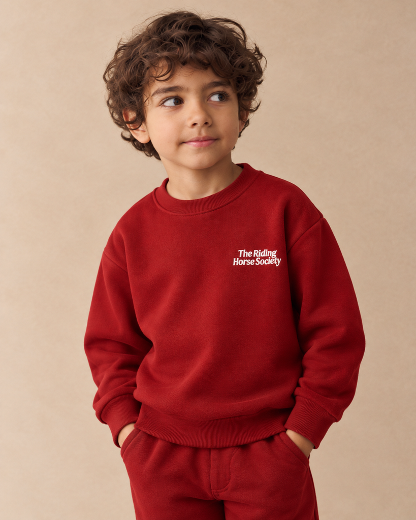 [14363] 14363 Sudadera de Niño (Preventa Septiembre 2026)